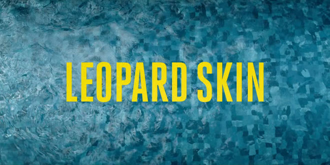 IMAGE: Leopard Skin (2022) main title card