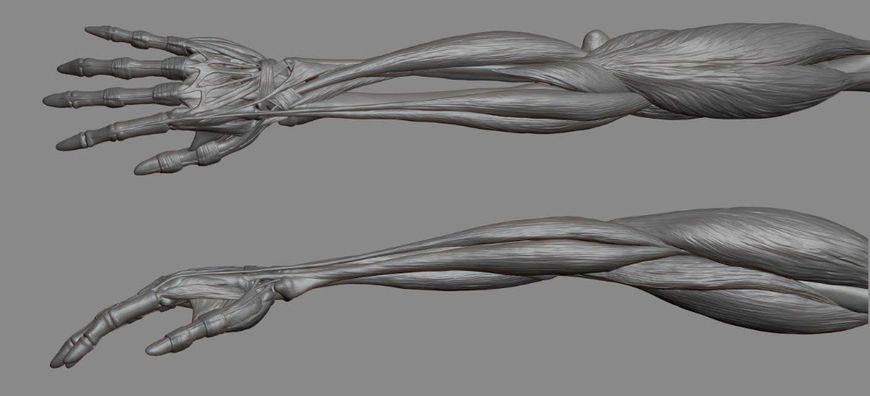 IMAGE: Westworld Arm Render